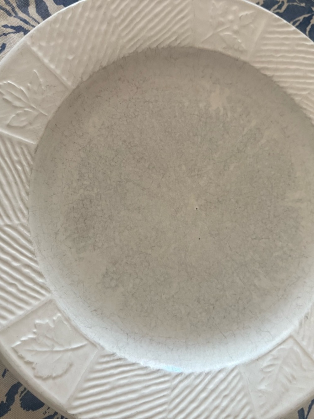 Pfaltzgraff White/Cream Textured Dinner Plate for Repoacement